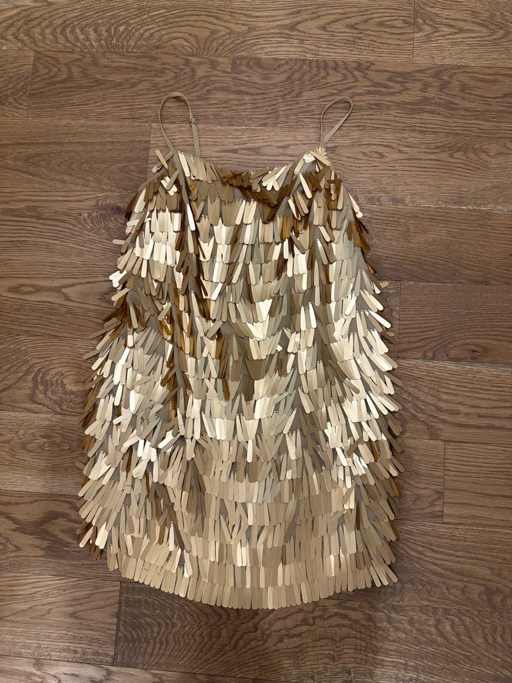 Gold Sequin Fringe Mini dress